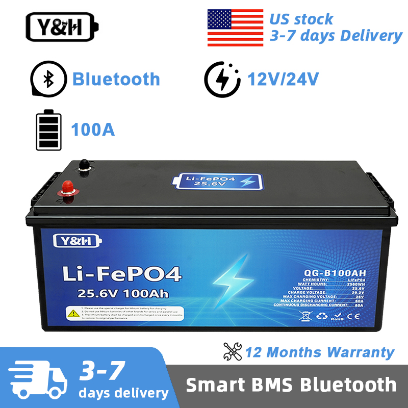 Renewable Energy Source - [Entrega Local] Batería LiFePO4 Y&H 12V