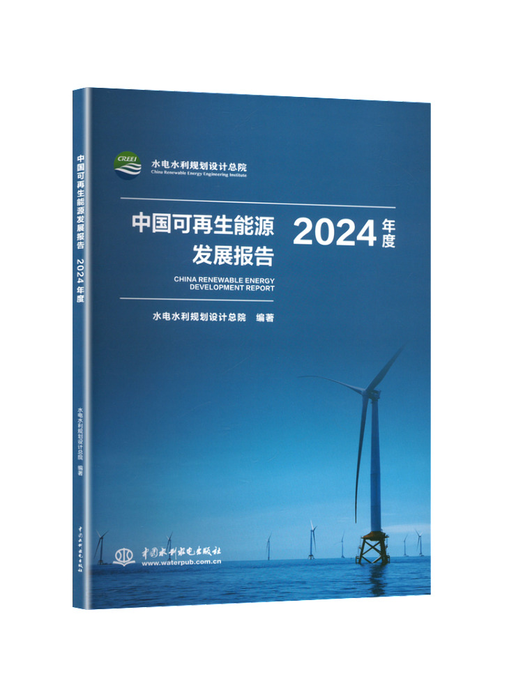 Libro - Informe de Desarrollo  - Renewable Energy Book reseña y precio