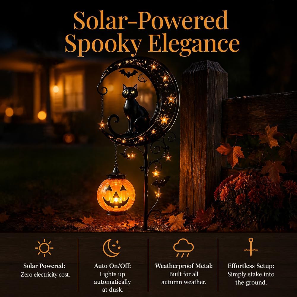 Luz Solar Decorativa para Jard - Renewable Energy Solar reseña y precio